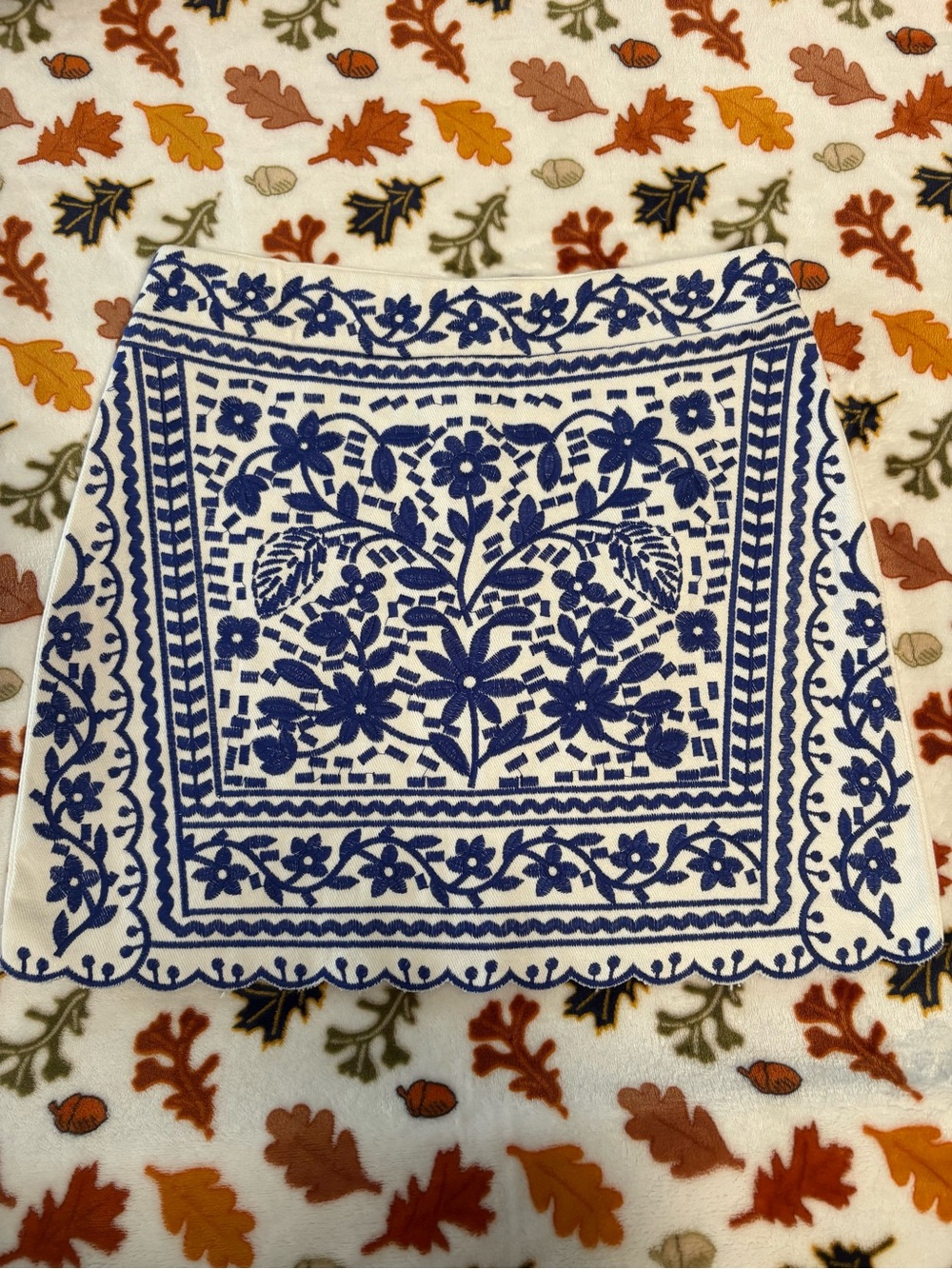 Francesca's Collections White Mini Skirt with Blue Floral Embroidery